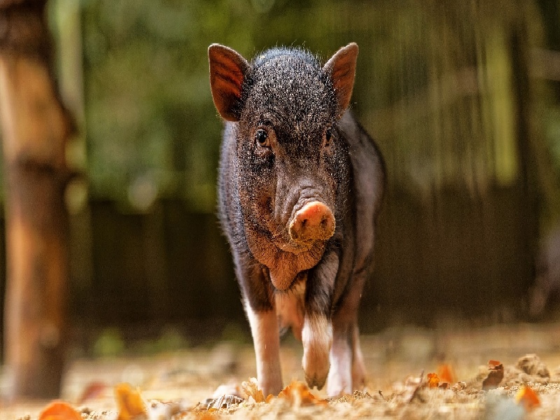 石家庄香水试管咋用（试管塞药溢出液体）